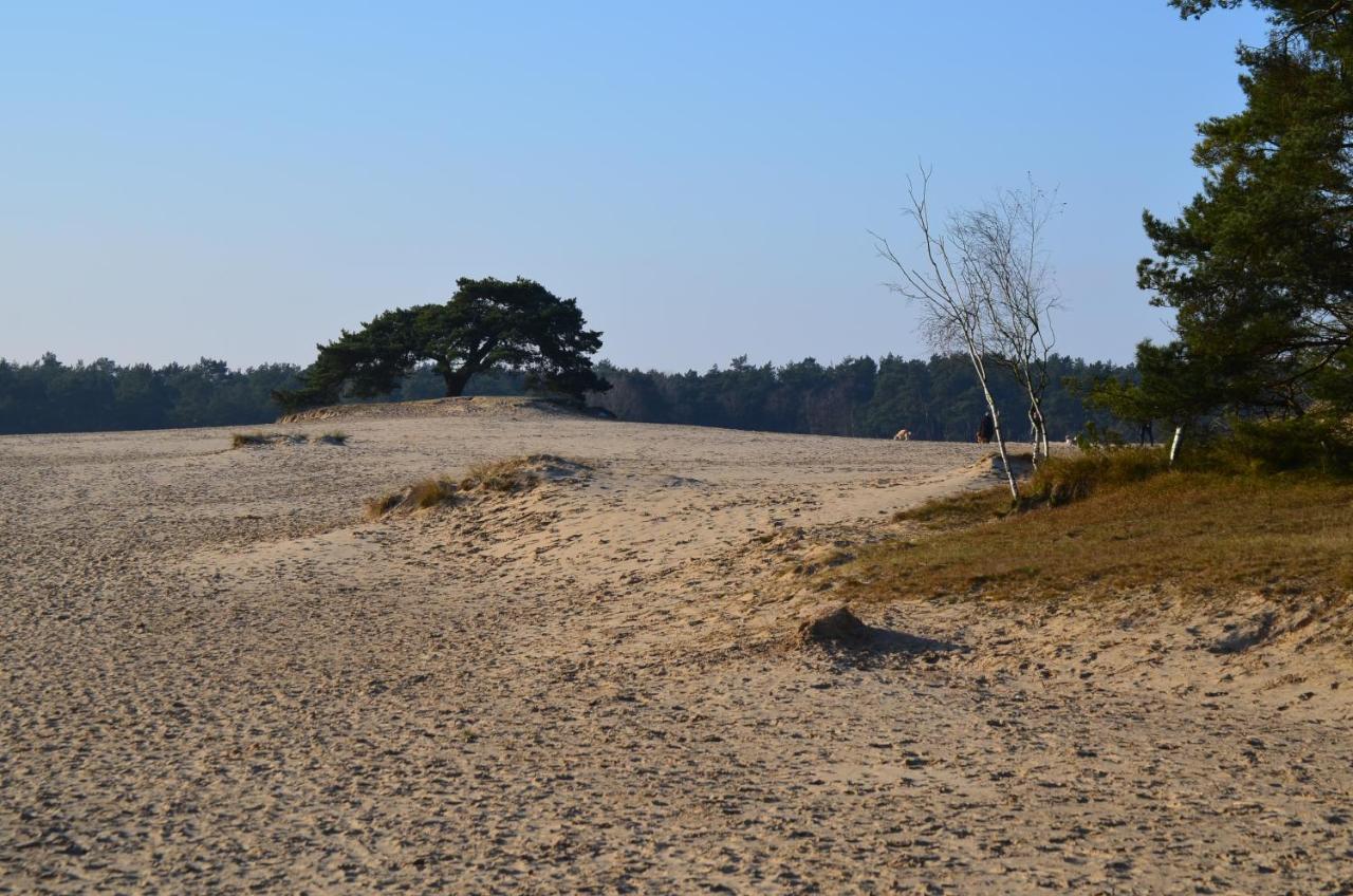 Weideblik Holiday home *